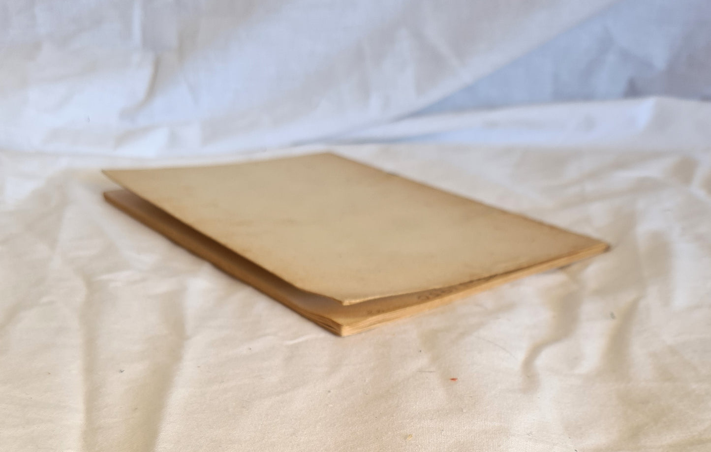 Comic Relief by Frank Gartrell