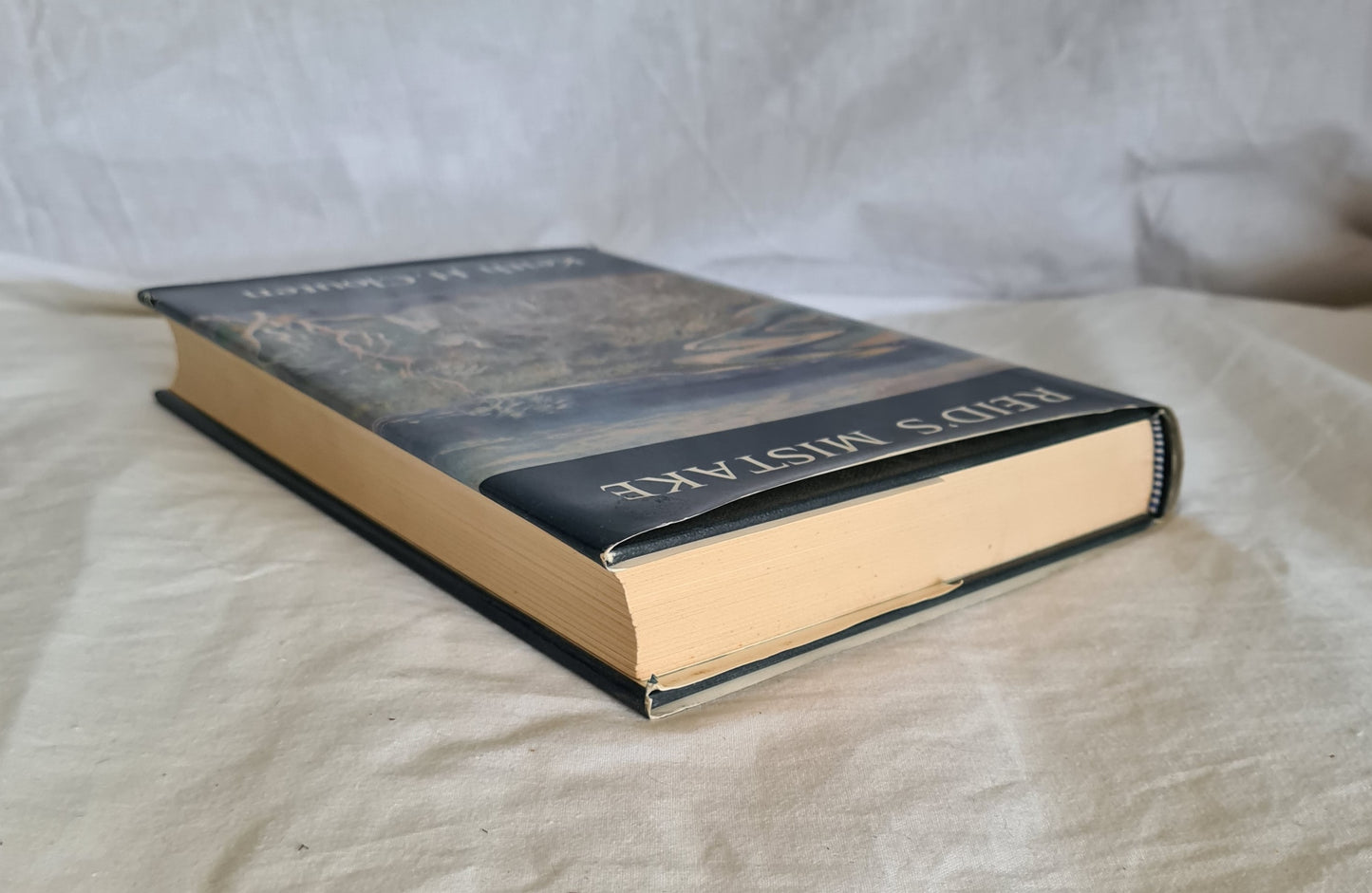 Reid’s Mistake by Keith H. Clouten