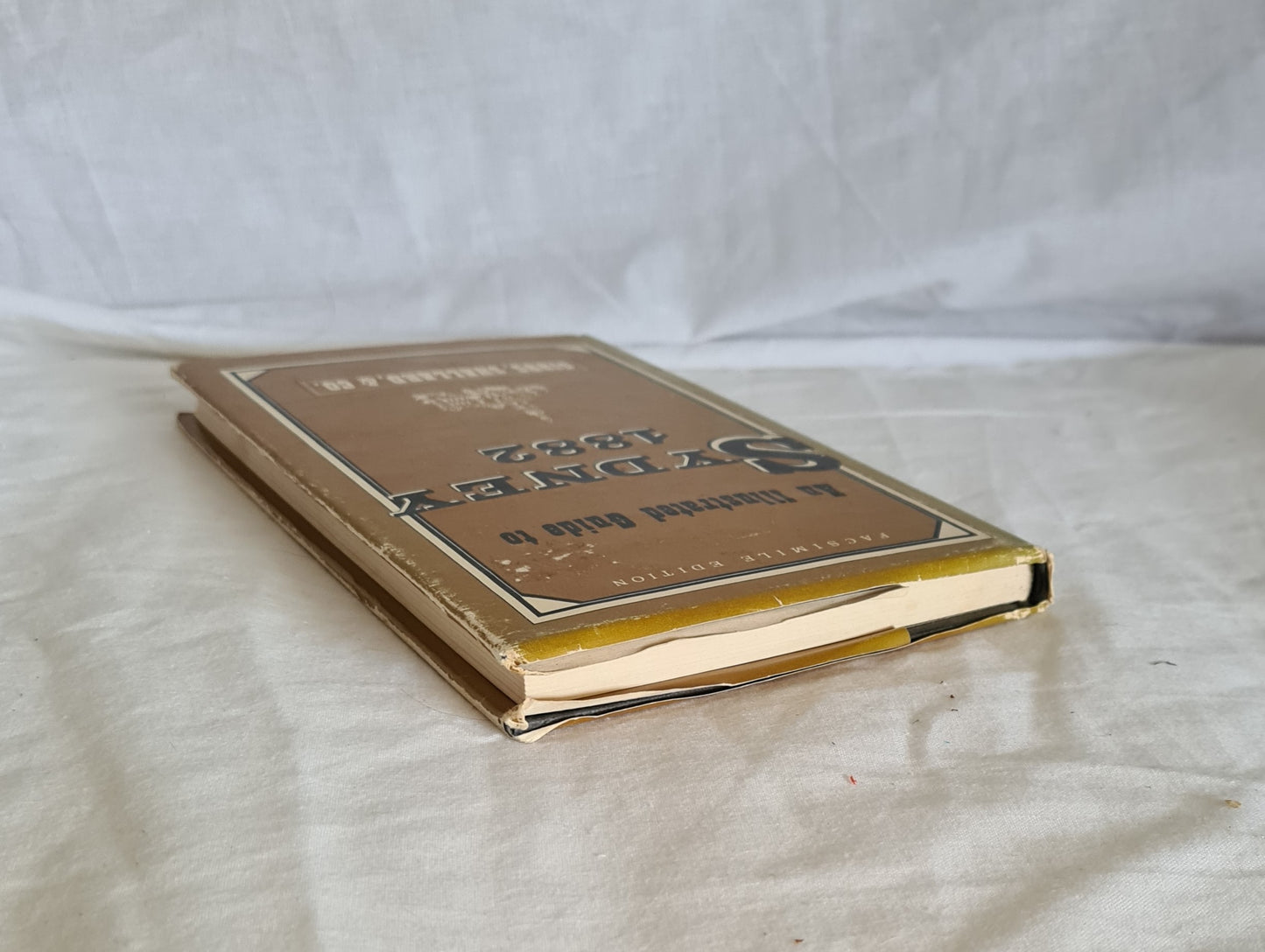 An Illustrated Guide to Sydney and its Suburbs 1882 by Gibbs, Shallard & Co.