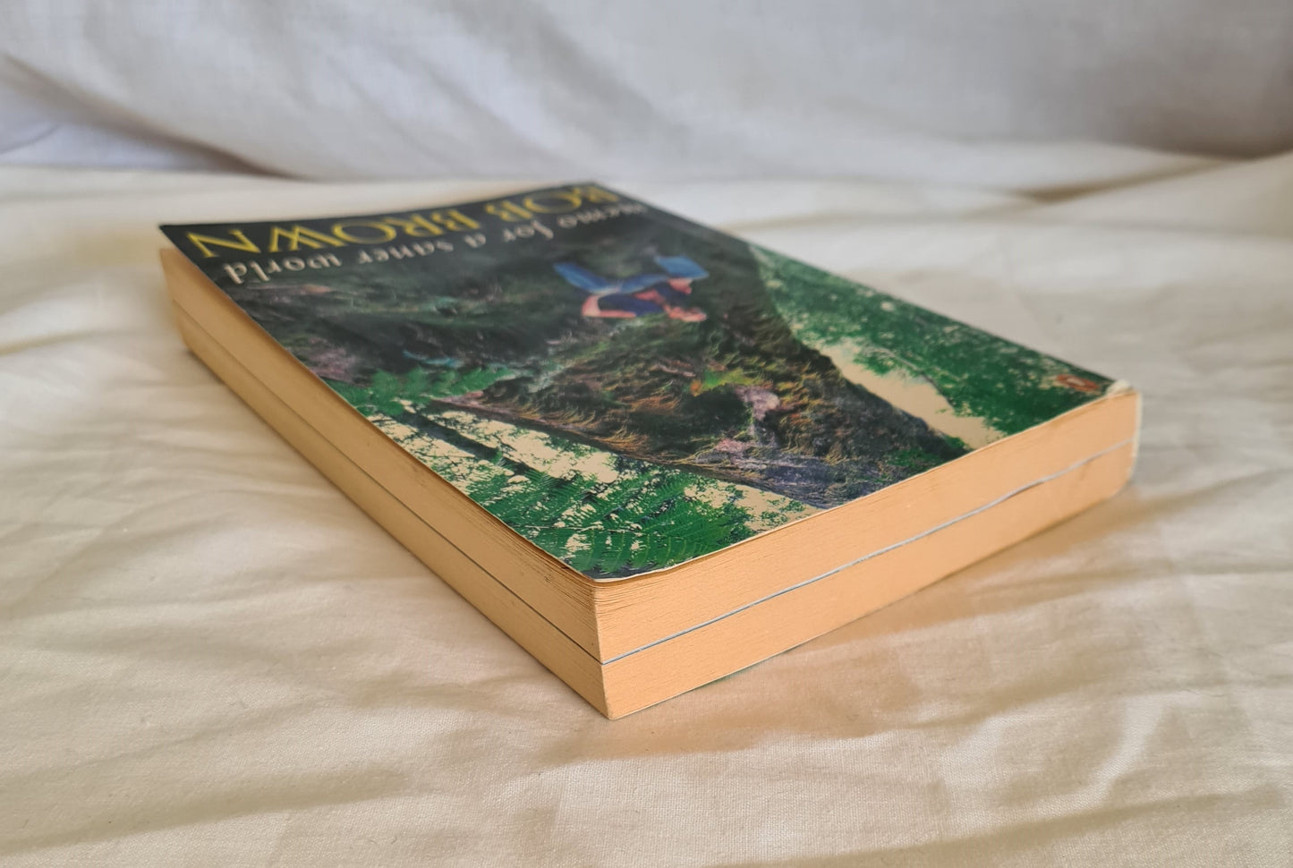 Memo For a Saner World by Bob Brown