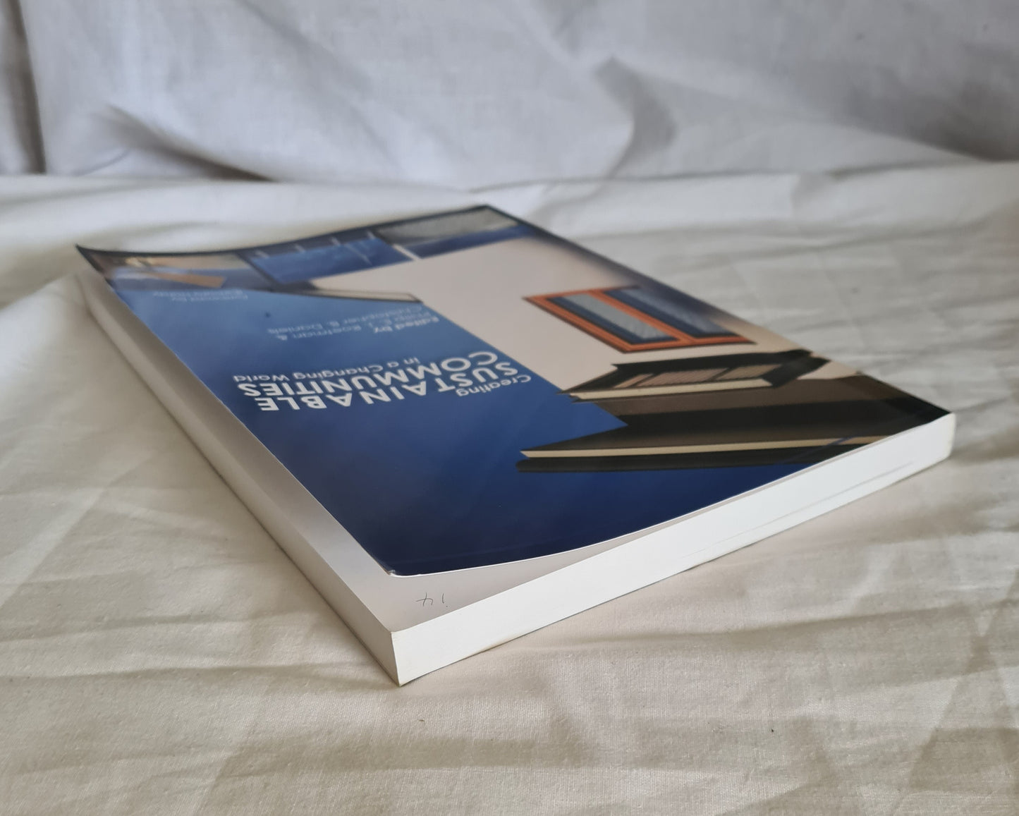 Creating Sustainable Communities in a Changing World by Philip E. J. Roetman and Christopher B. Daniels