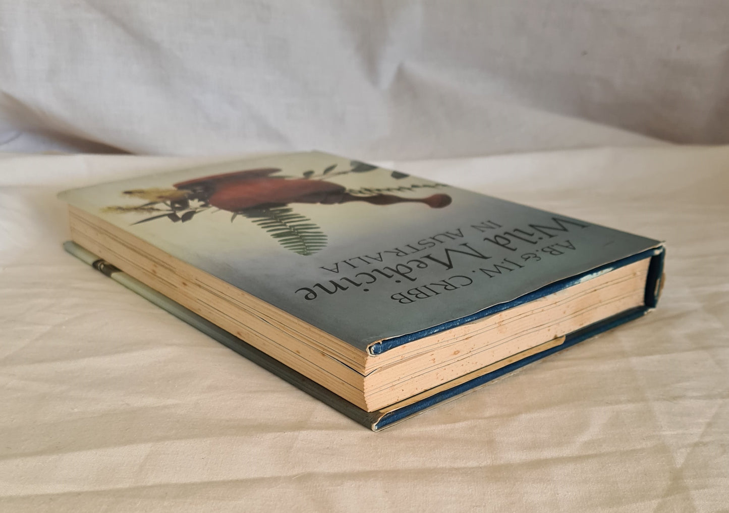 Wild Medicine in Australia by A. B. & J. W. Cribb
