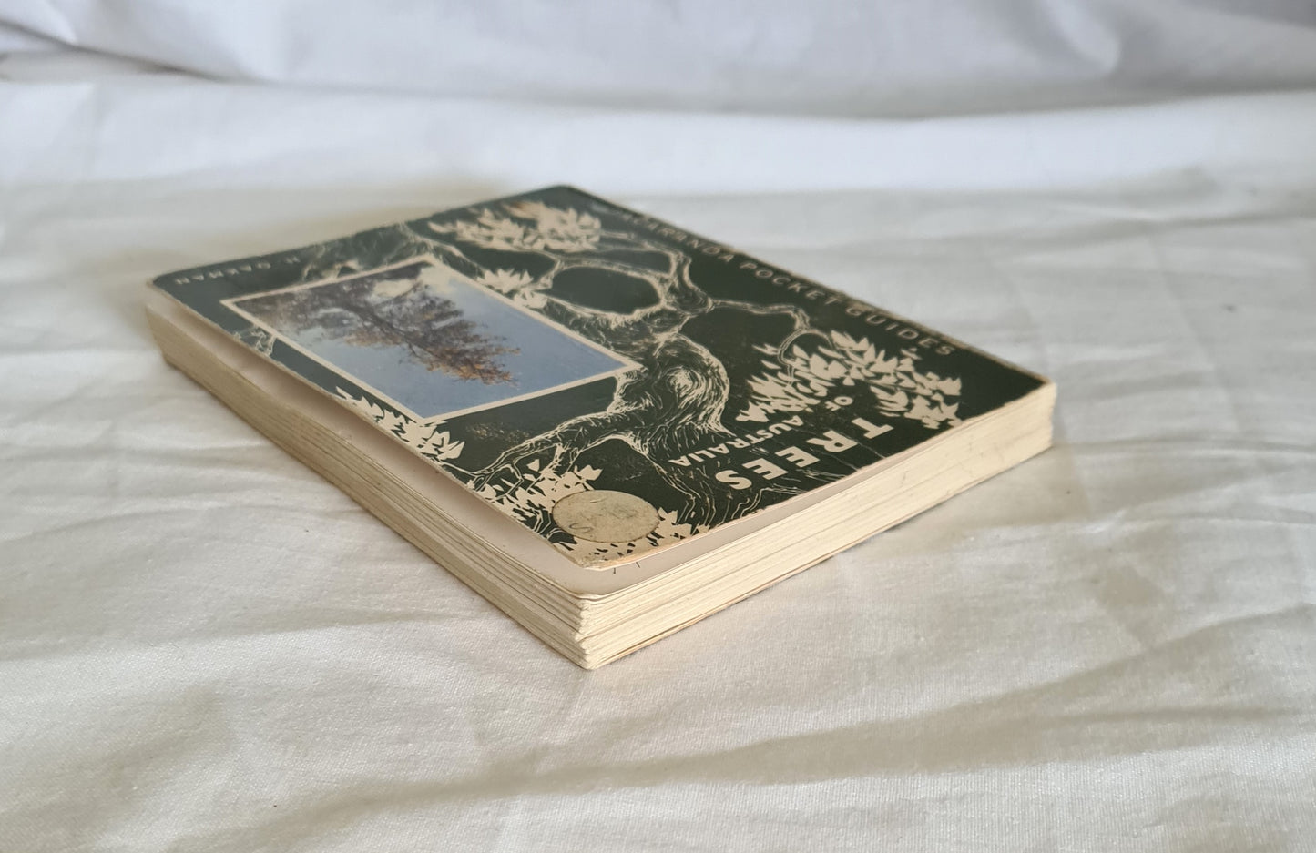 Some Trees of Australia by H. Oakman