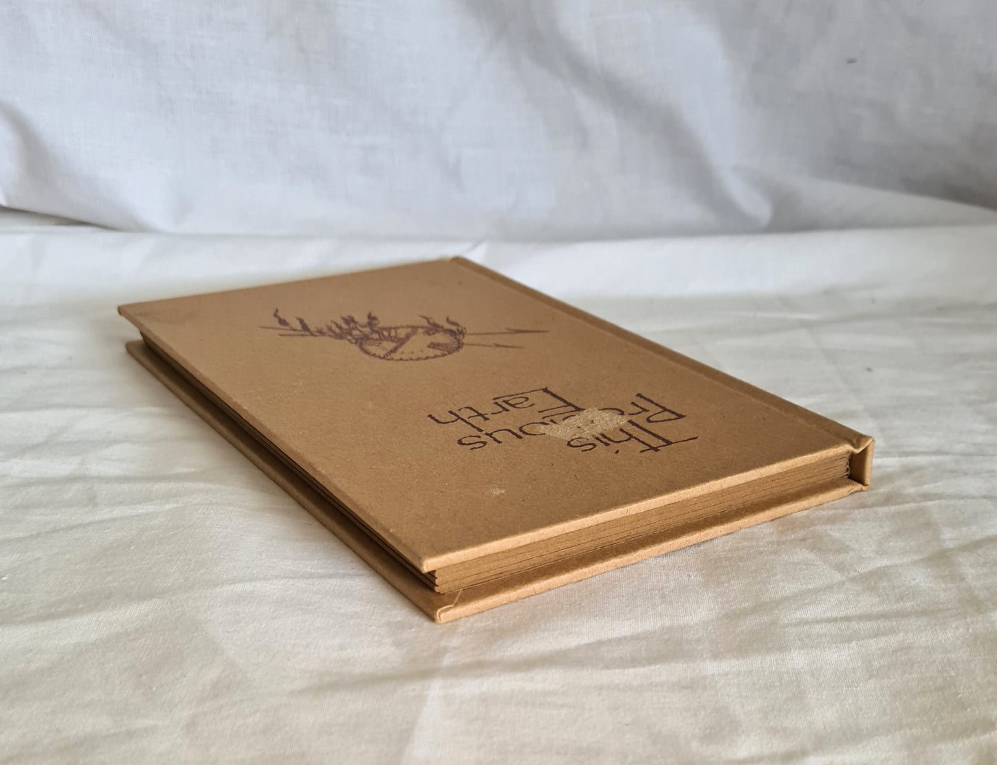 This Precious Earth Illustrations by Jan Gallehawk