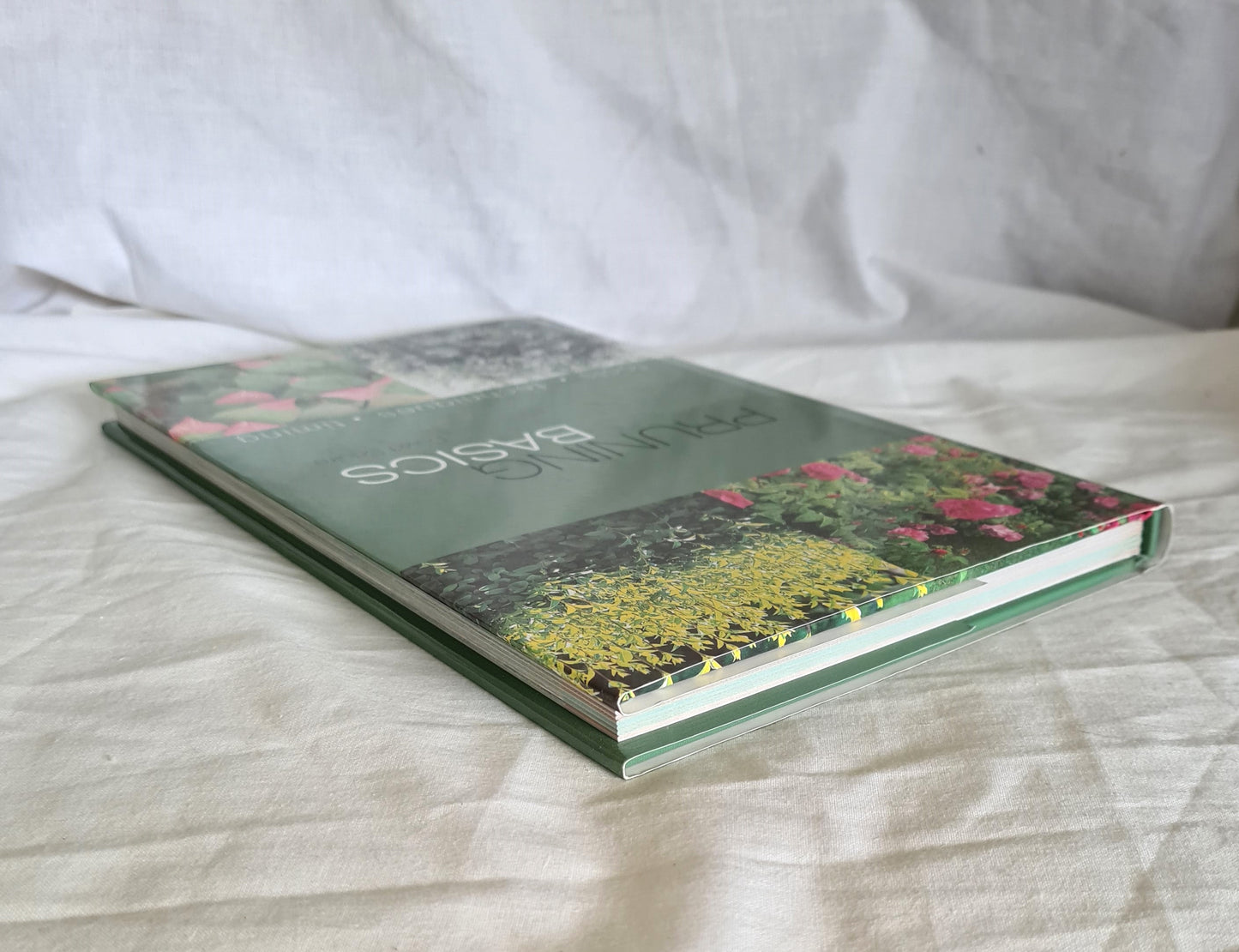 Pruning Basics by David Squire