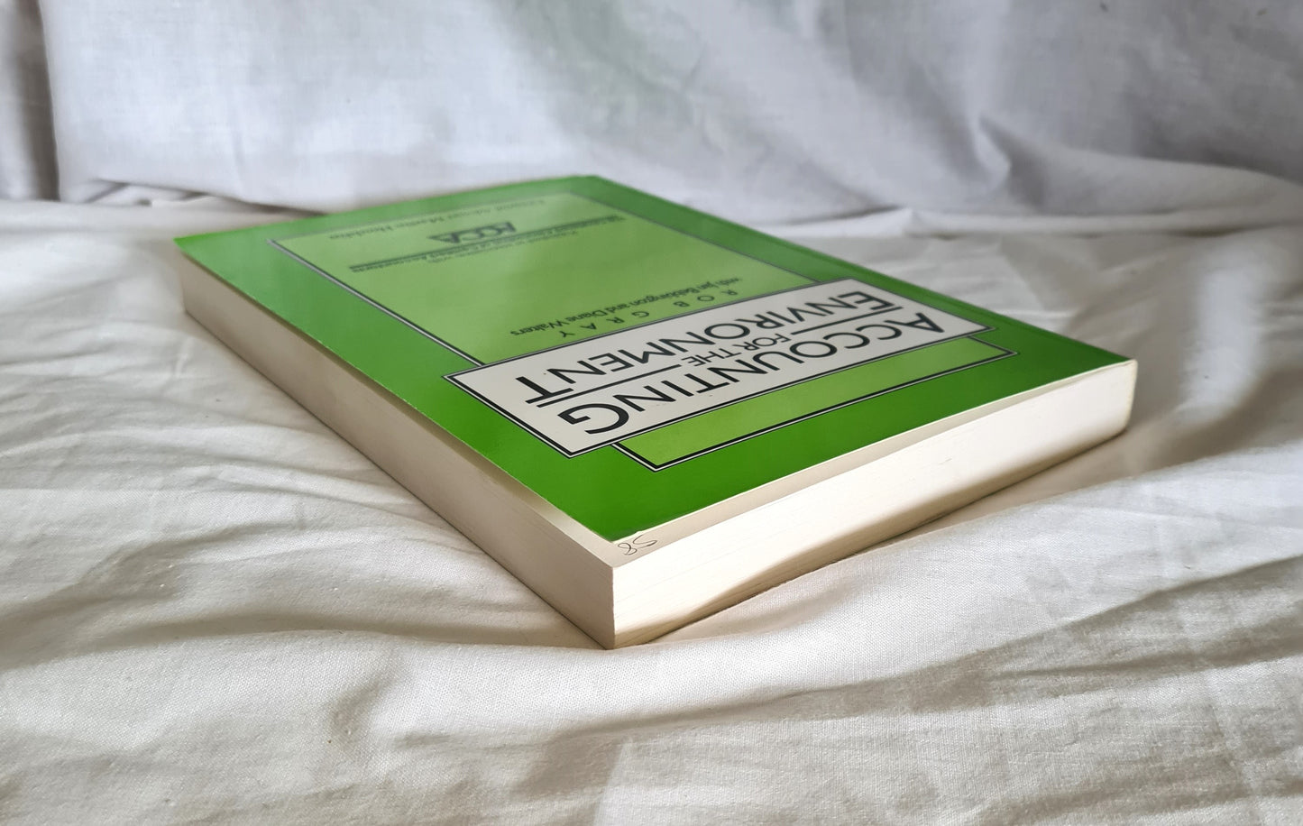 Accounting for the Environment by Rob Gray