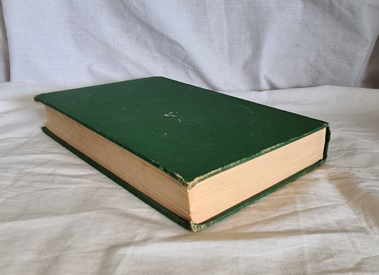 What Bird Is That? by Neville W. Cayley