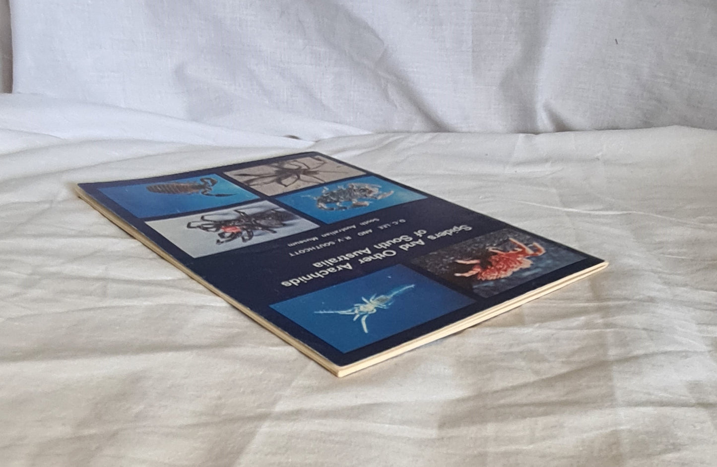 Spiders and Other Arachnids of South Australia by D. C. Lee and R. V. Southcott
