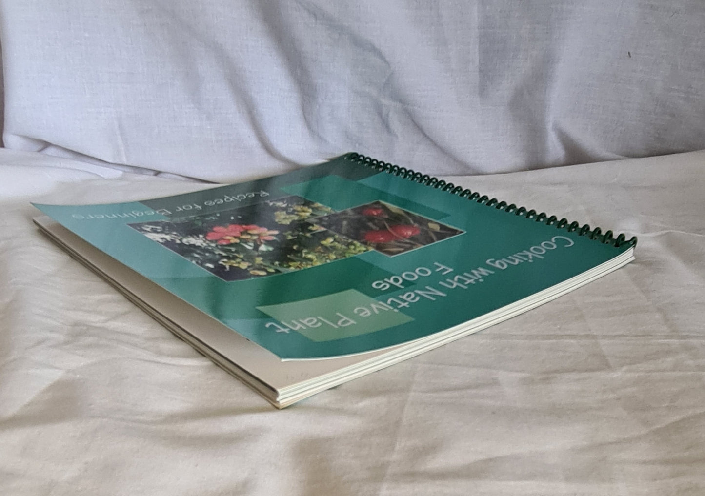 Cooking with Native Plant Foods by Kay Jaeschke