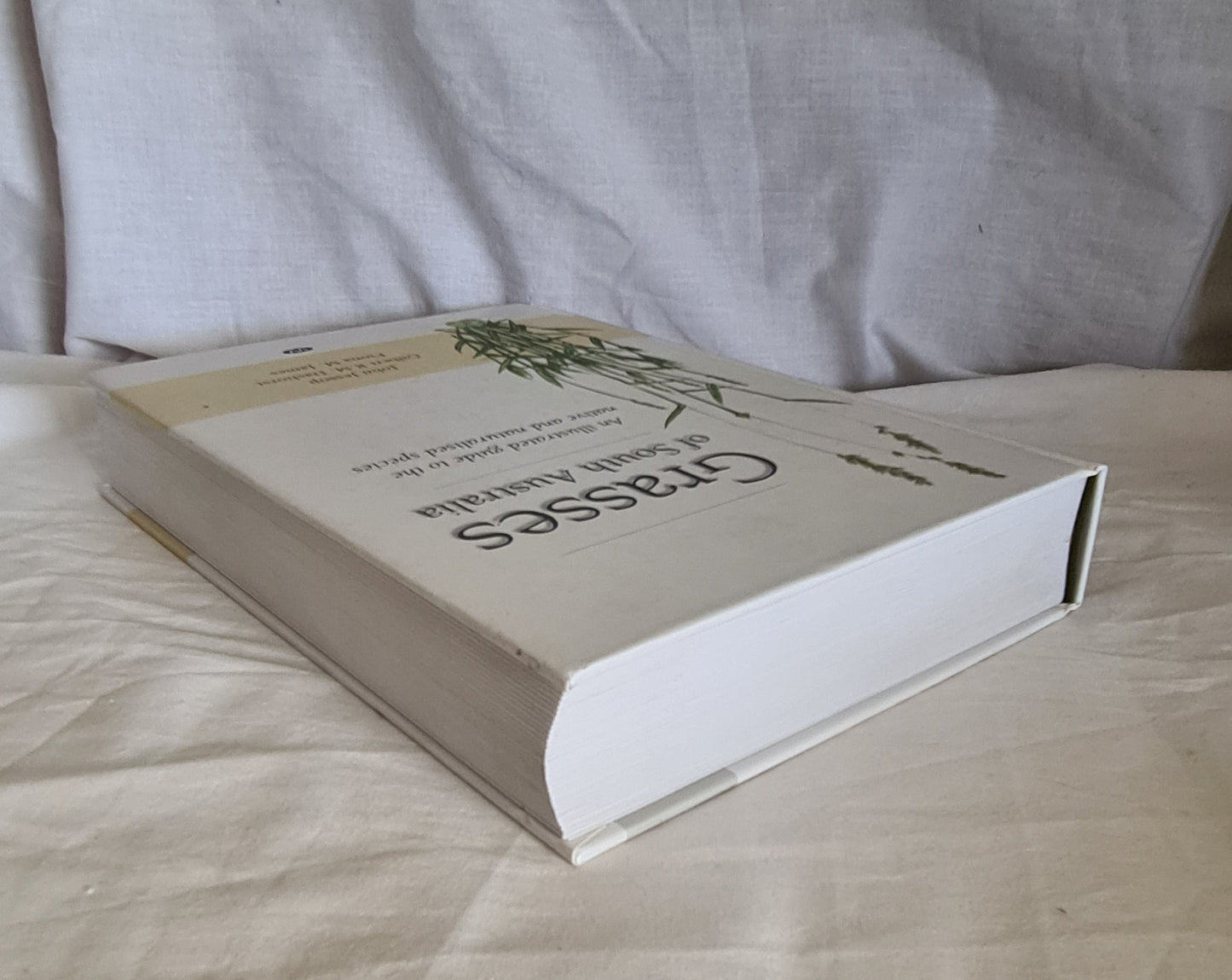 Grasses of South Australia by John Jessop, Gilbert R. M. Dashorst and Fiona M. James