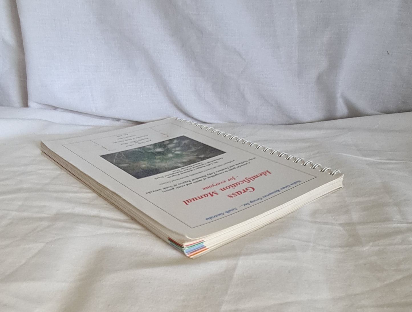 Grass Identification Manual – for everyone by Joan Gibbs