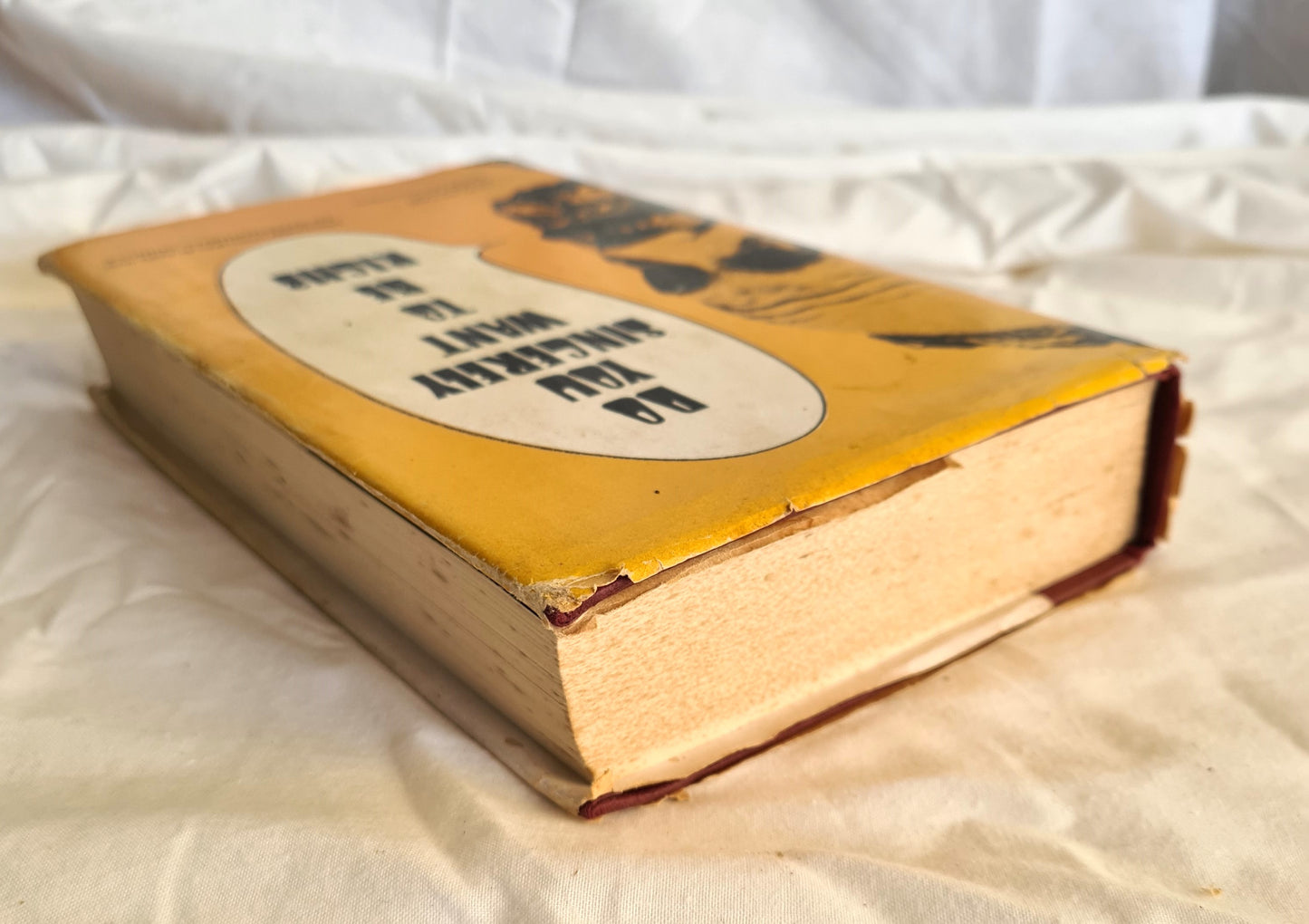 Do You Sincerely Want to Be Rich? by Charles Raw, Godfrey Hodgson and Bruce Page