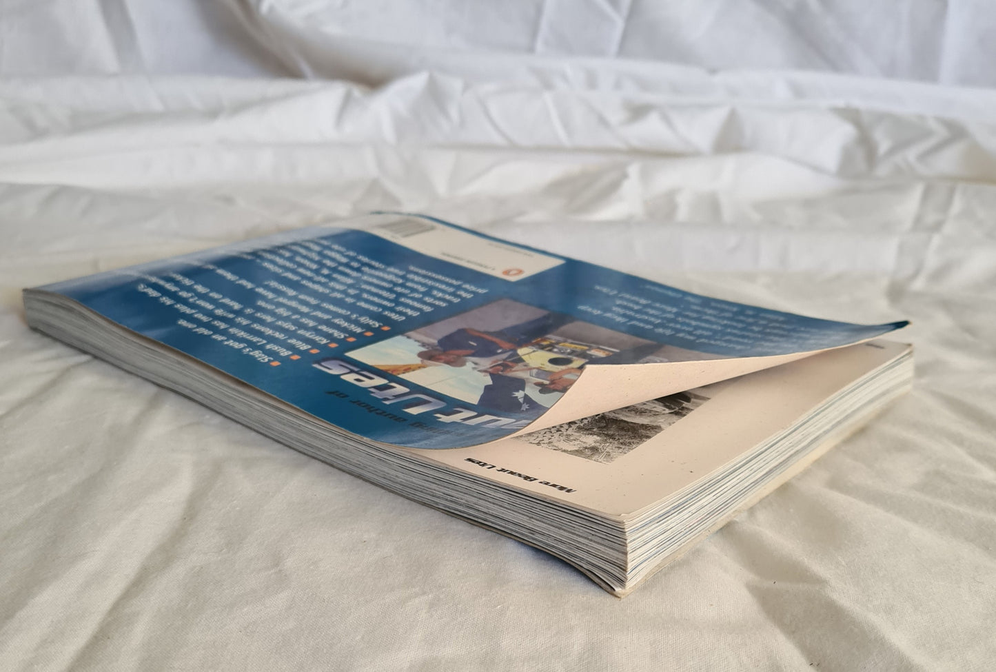 More Beaut Utes by Allan M. Nixon ‘The Uteman’