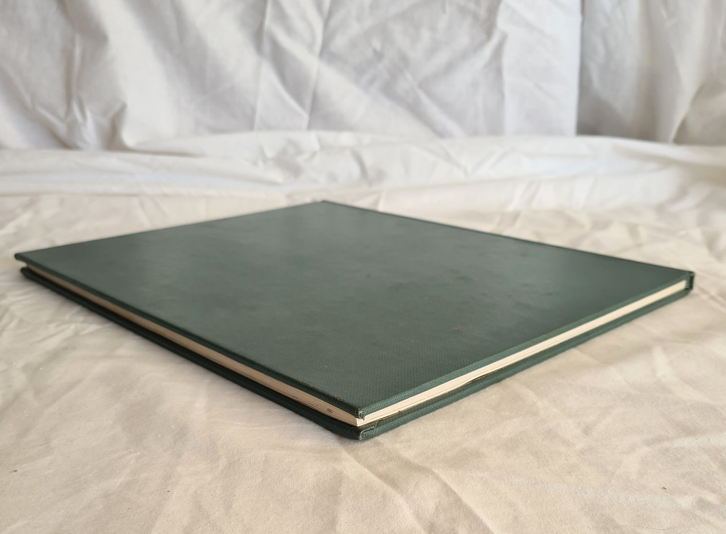 The Death of a Wombat by Ivan Smith