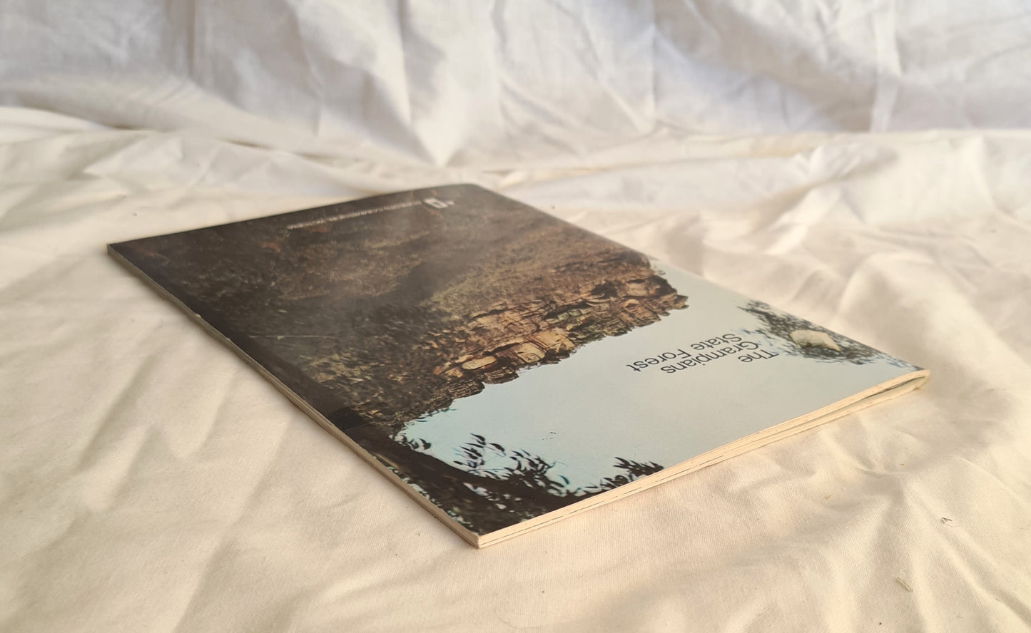 The Grampians State Forest