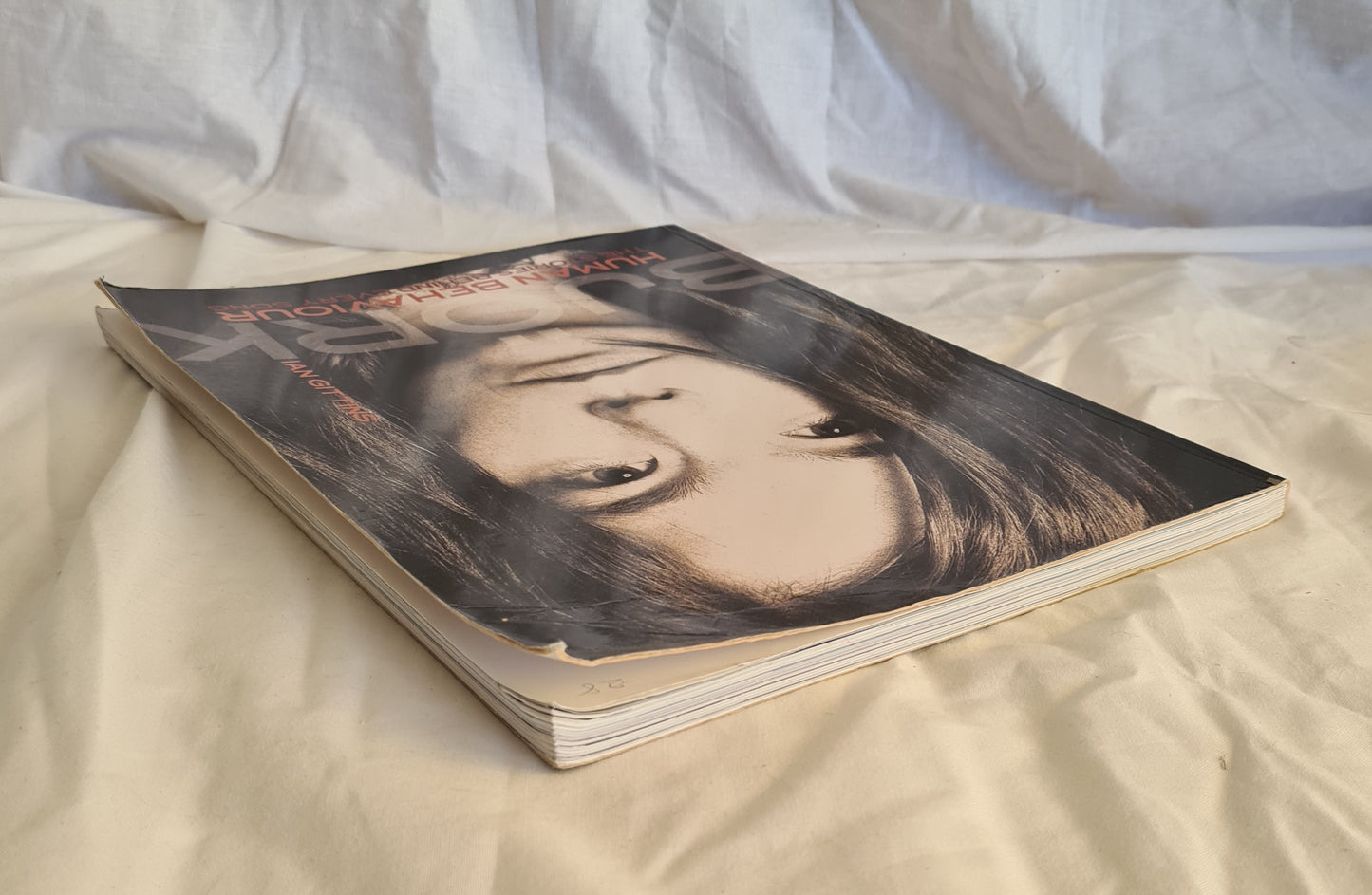 Bjork: Human Behaviour by Ian Gittins