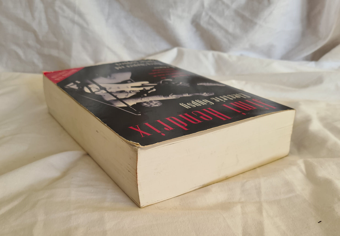 Jimi Hendrix Electric Gypsy by Harry Shapiro and Caesar Glebbeek