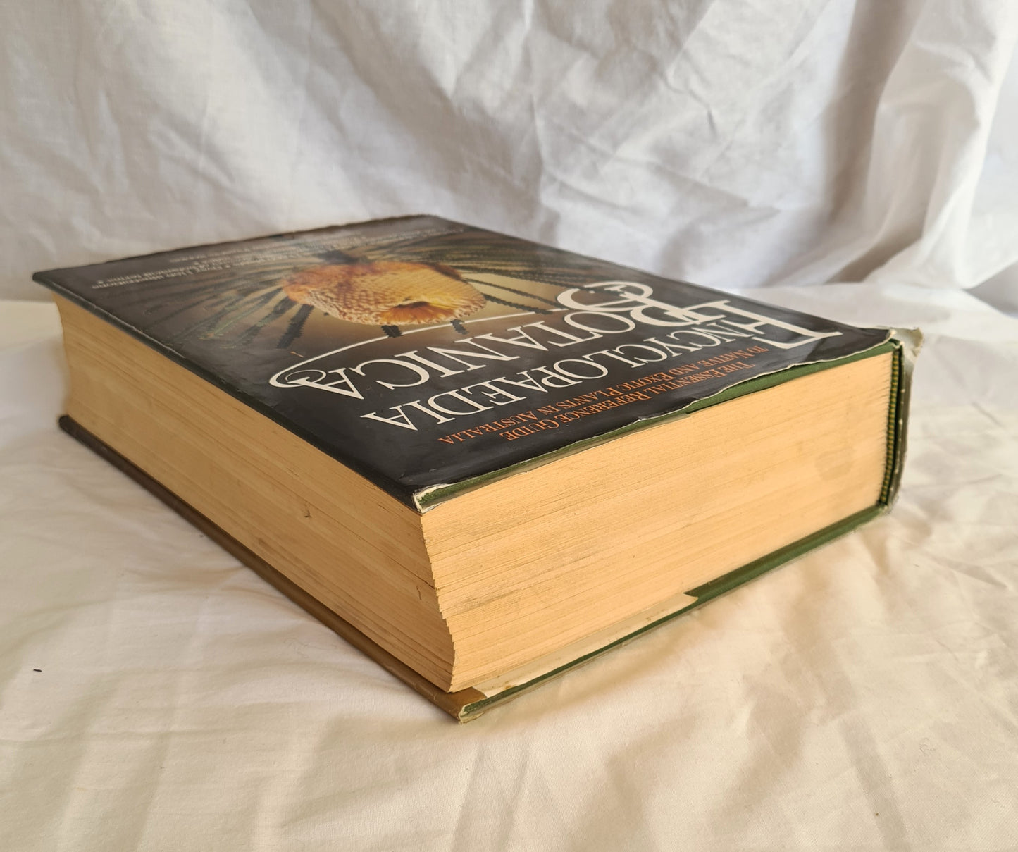 Encyclopaedia Botanica by Frances Bodkin