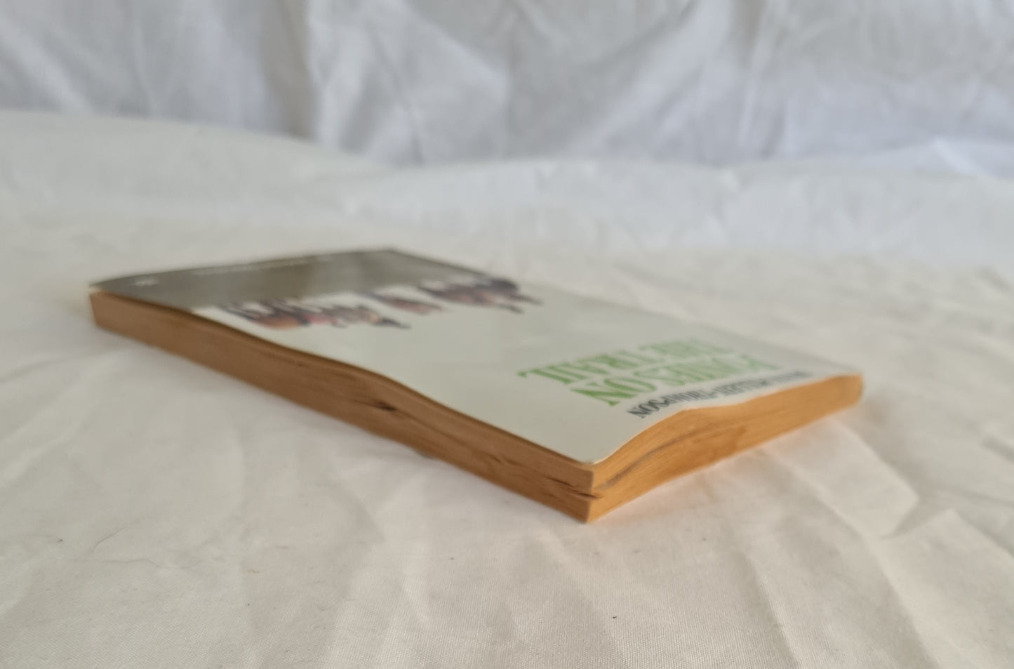 Ponies on the Trail by Diana Pullein-Thompson