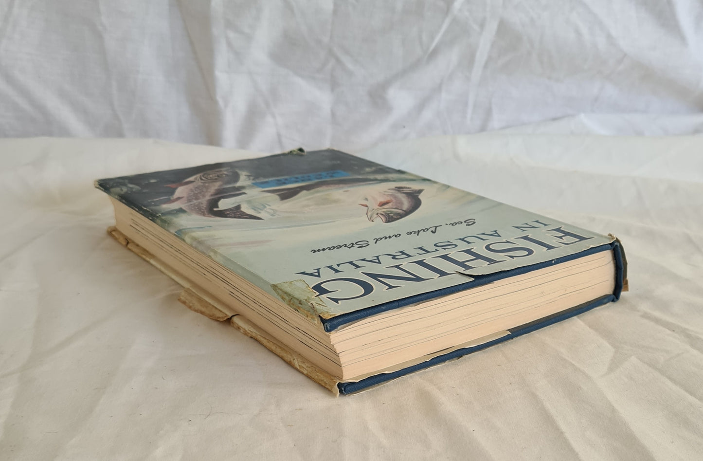 Fishing in Australia by Lance Wedlock