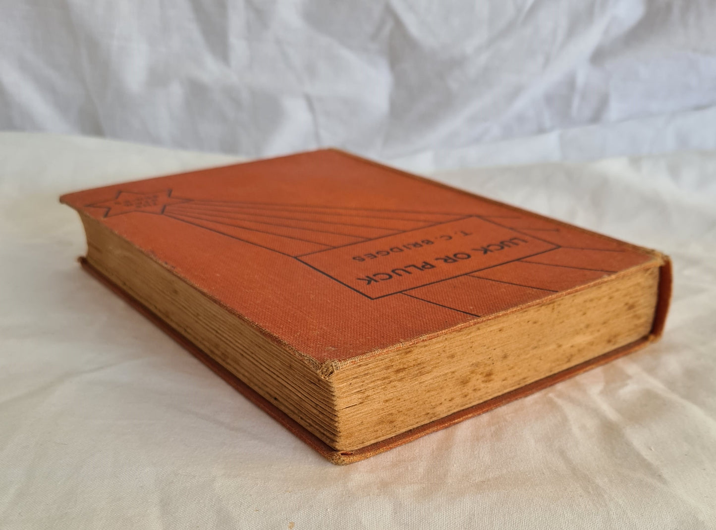 Luck or Pluck by T. C. Bridges