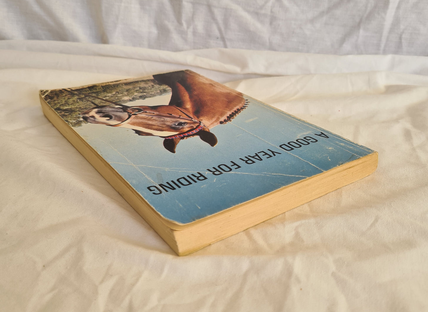 A Good Year For Riding by Elizabeth Whitbread