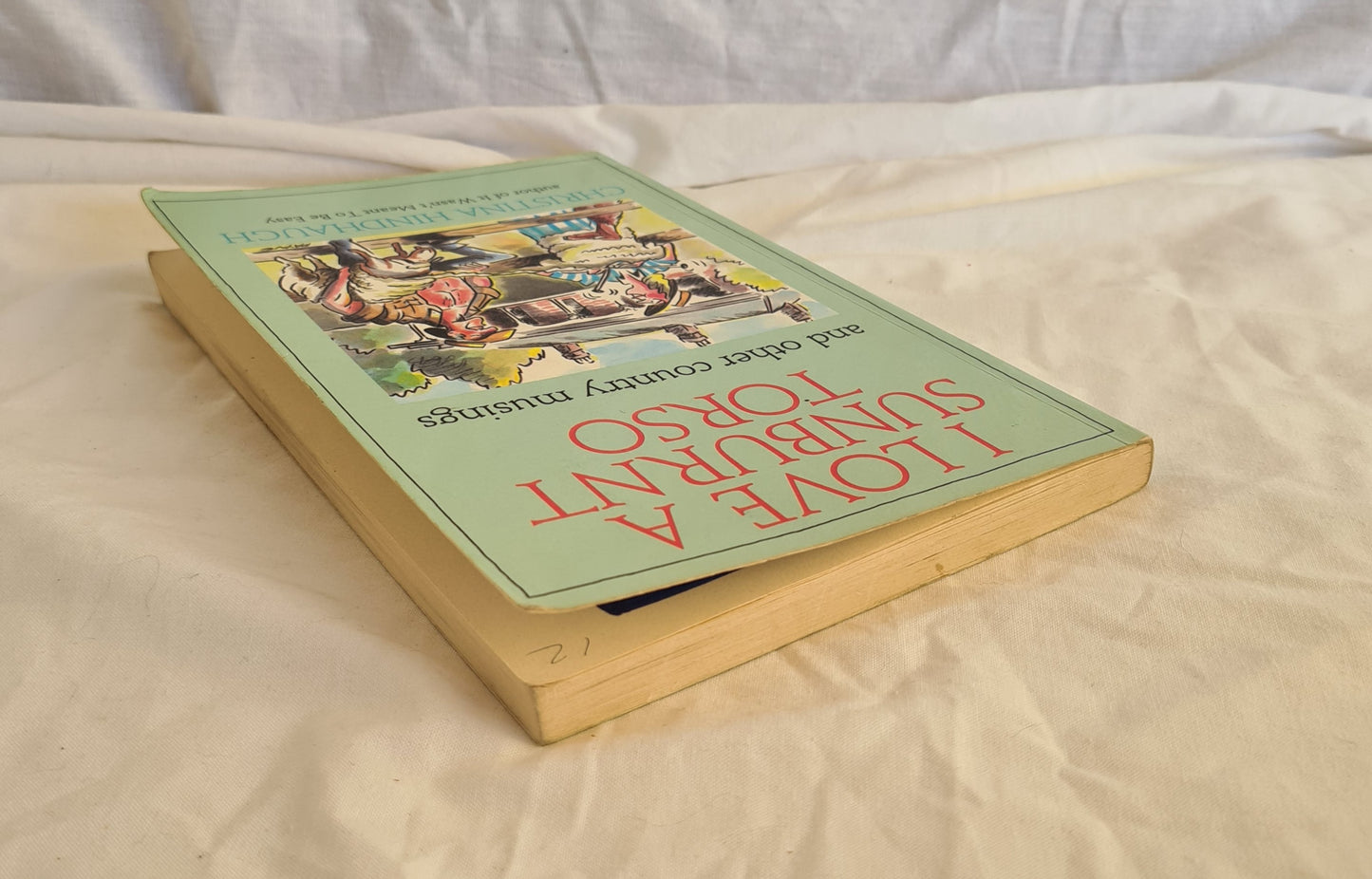 I Love A Sunburnt Torso by Christina Hindhaugh