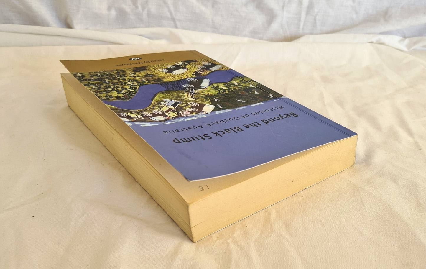 Beyond the Black Stump by Alan Mayne