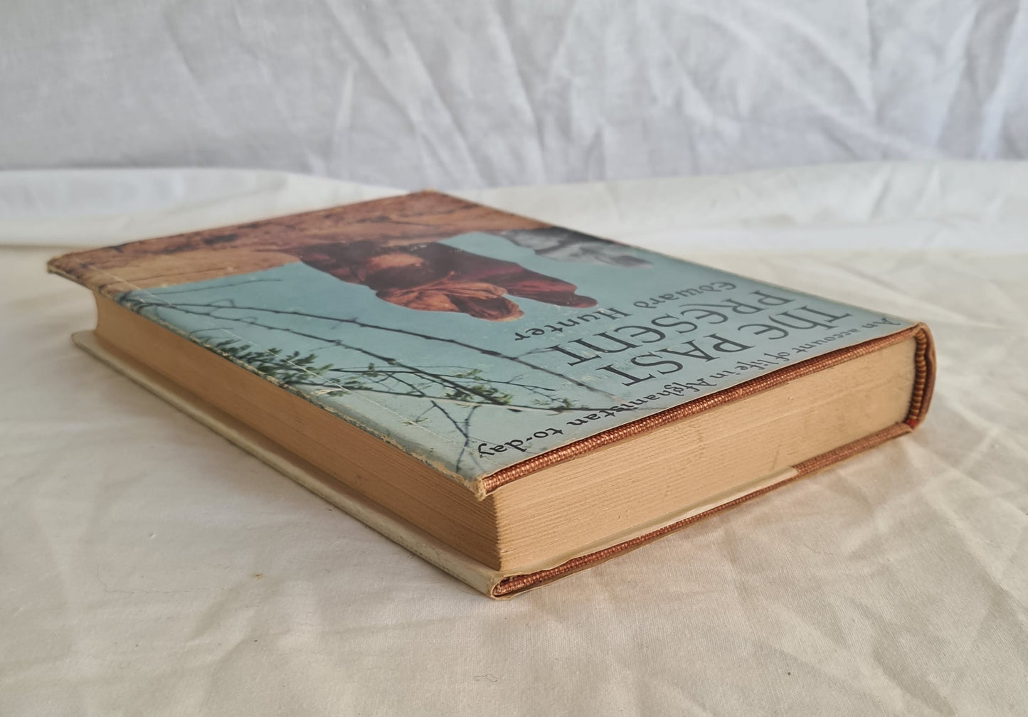 The Past Present by Edward Hunter