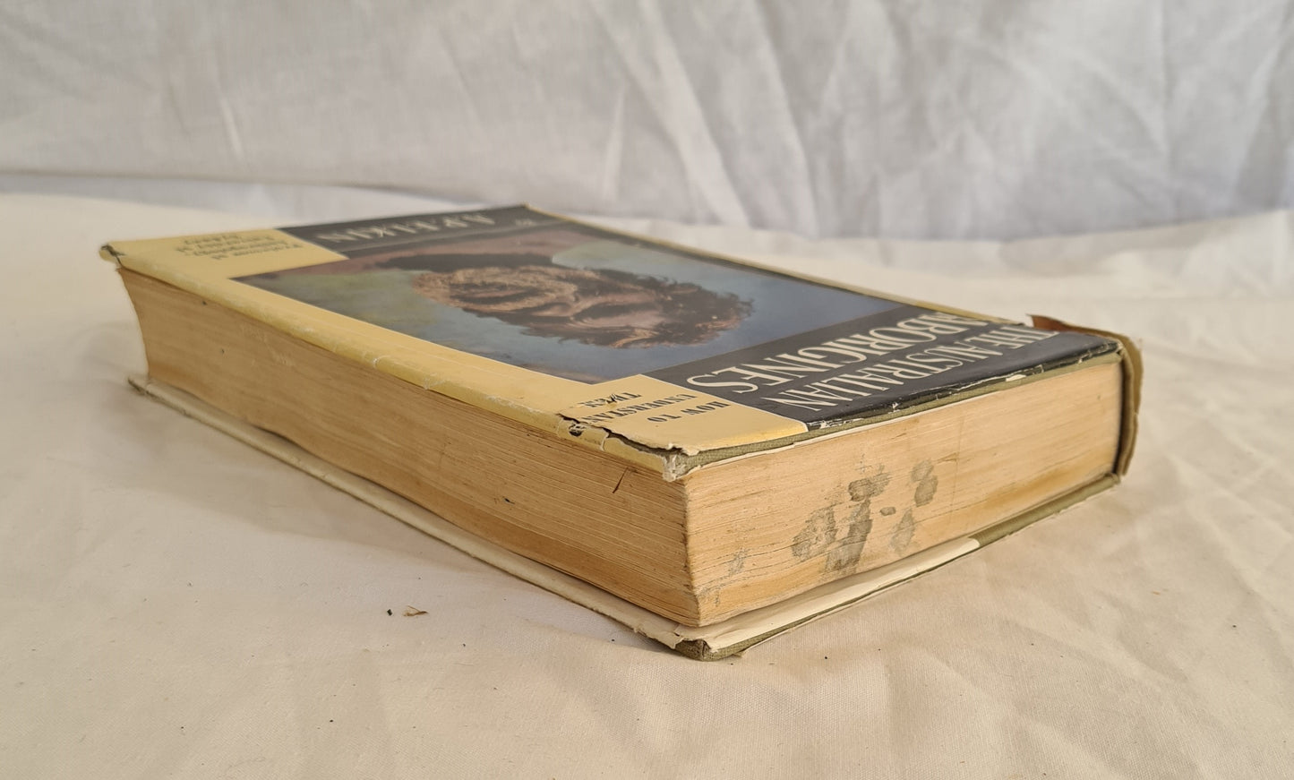 The Australian Aborigines by A. P. Elkin