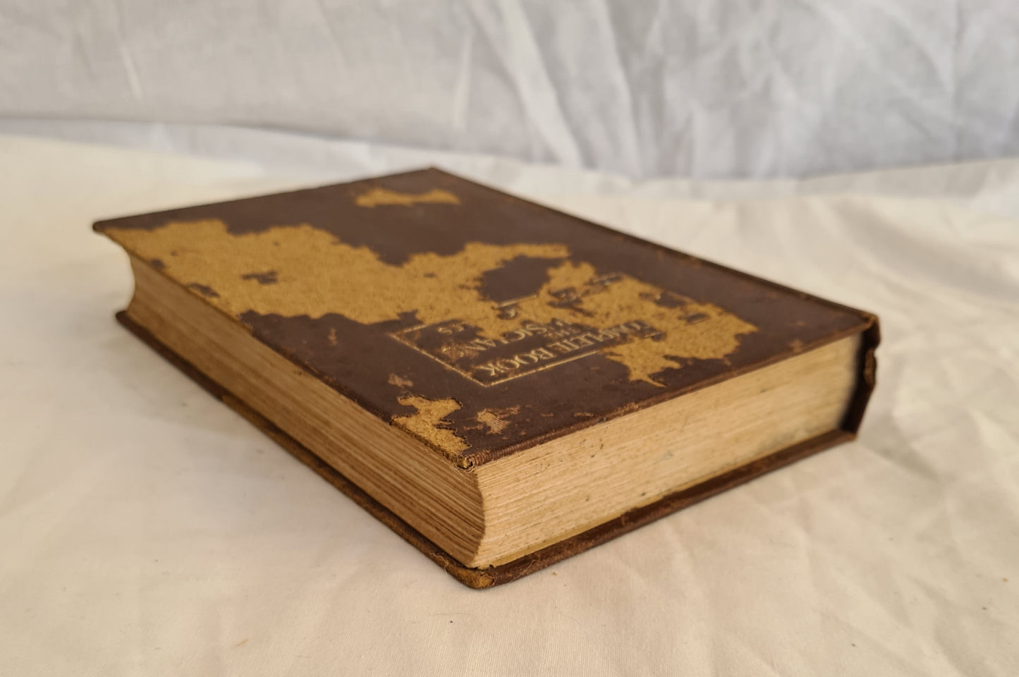 The Complete Book of the Great Musicians by Percy A. Scholes