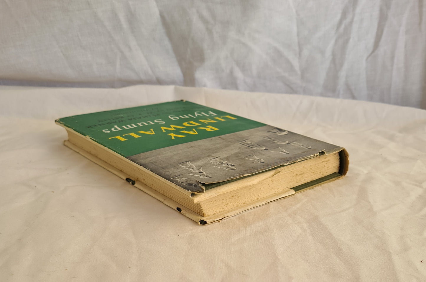 Flying Stumps by Ray Lindwall