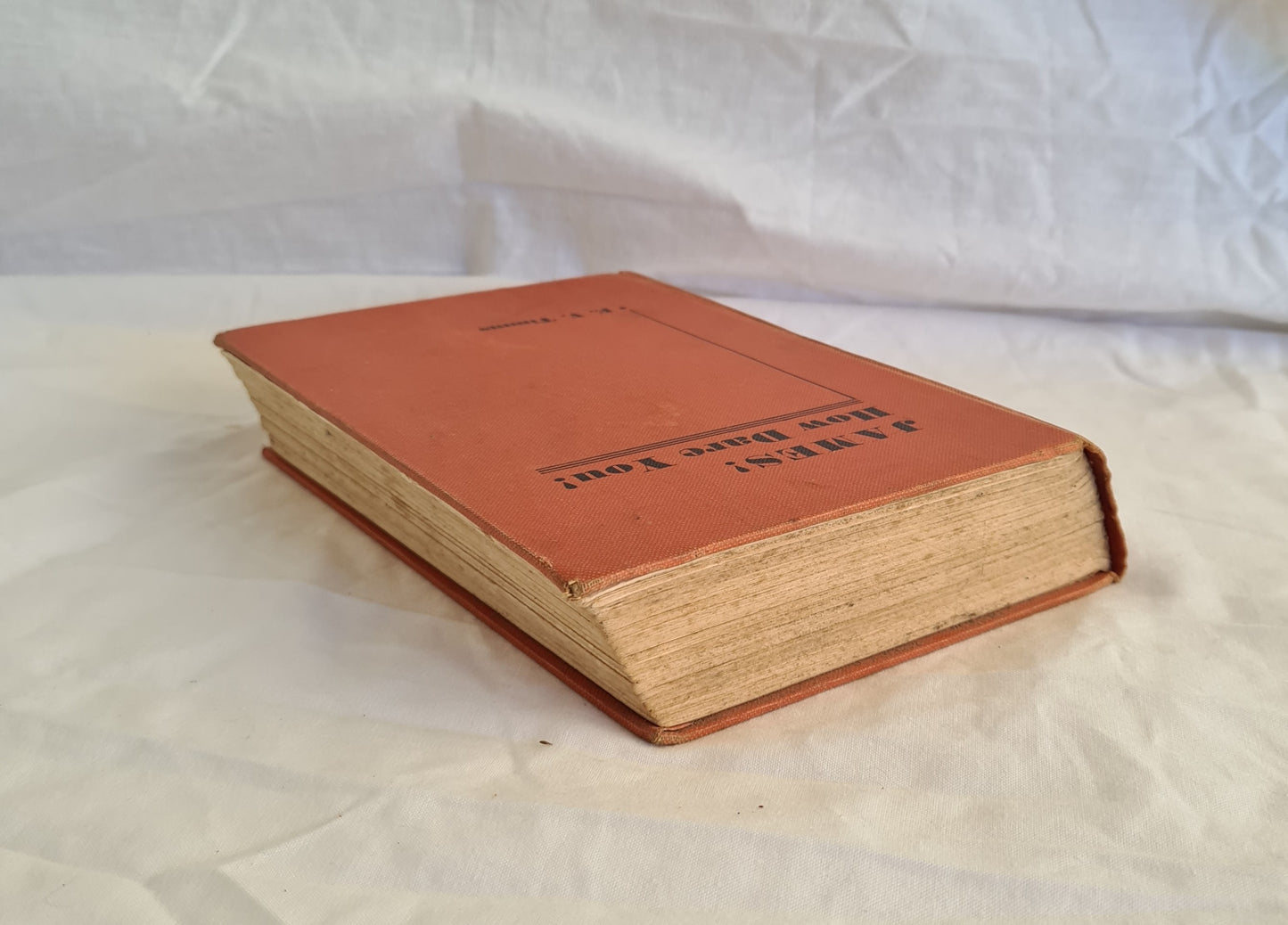 James! How Dare You! by E. V. Timms