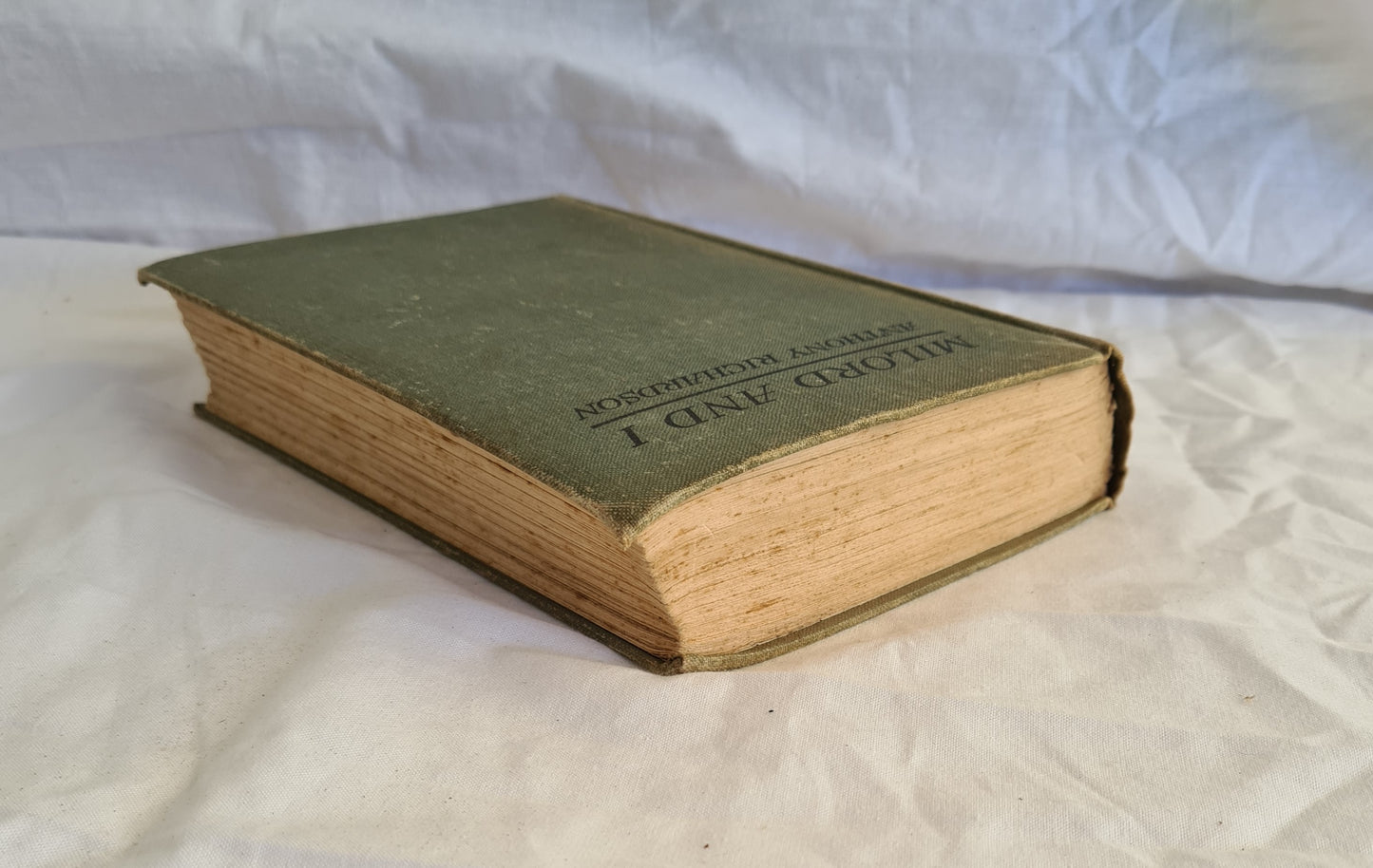 Milord and I by Anthony Richardson