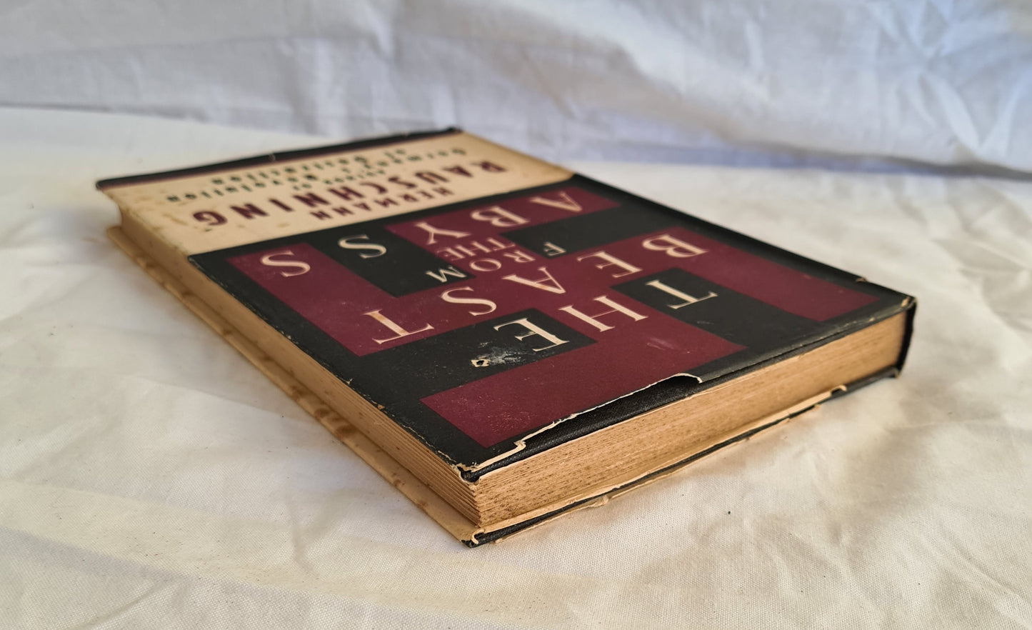 The Beast from the Abyss by Hermann Rauschning