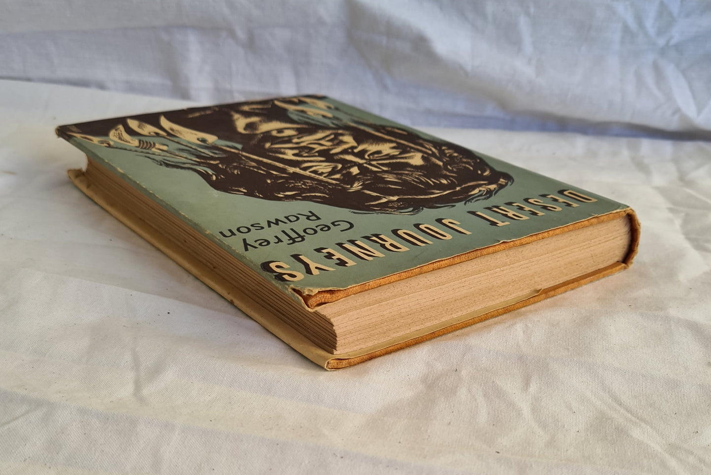 Desert Journeys by Geoffrey Rawson