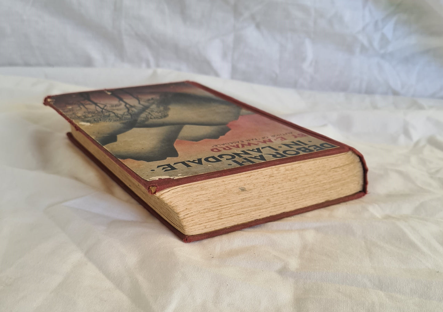 Deborah in Langdale by E. M. Ward