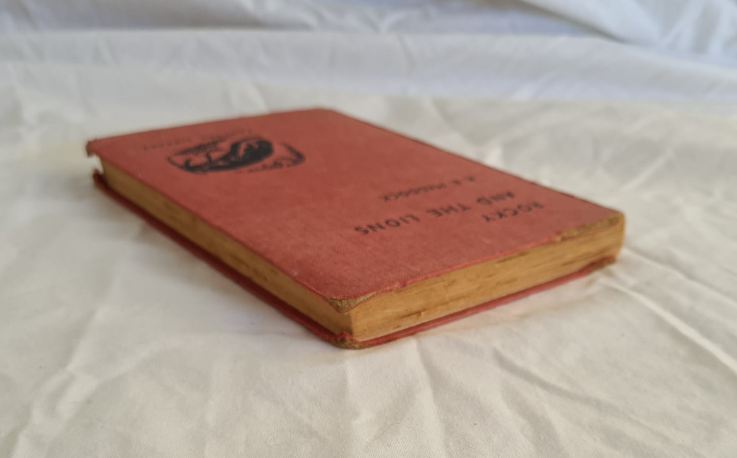 Rocky and the Lions by R. B. Maddock