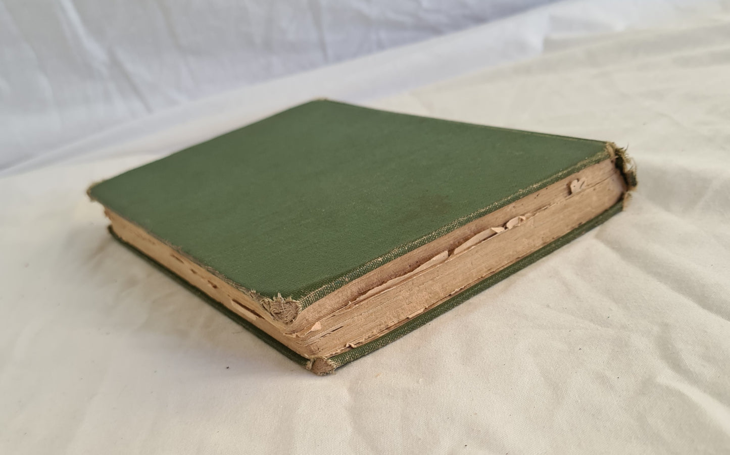 Robina by E. V. Timms