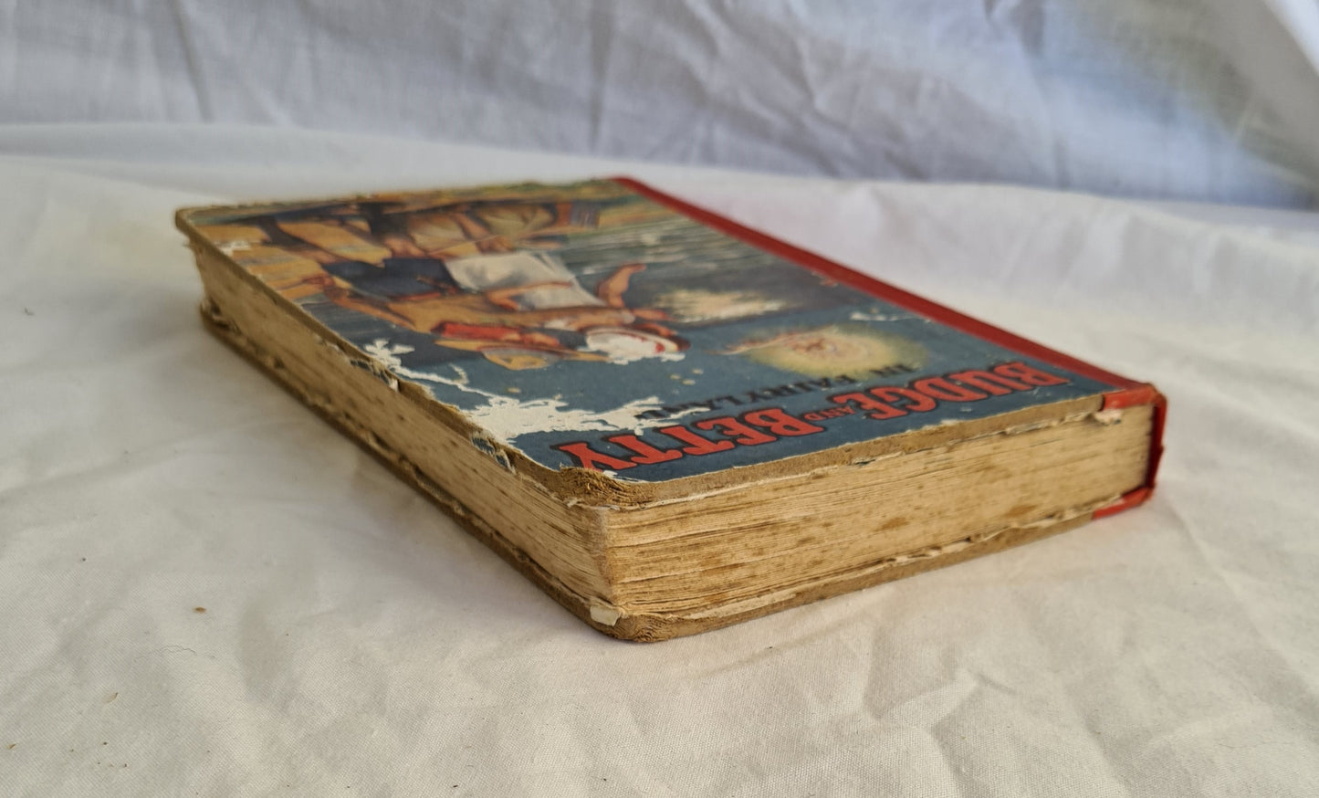 Budge and Betty in Fairyland by Ernest Protheroe