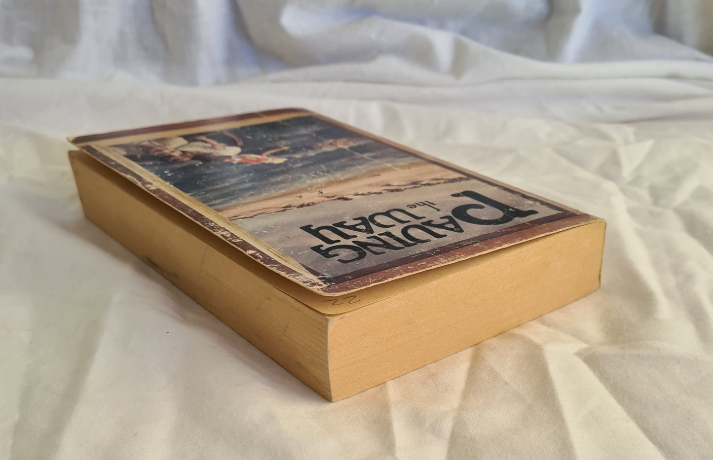 Paving the Way by Simpson Newland (PB)