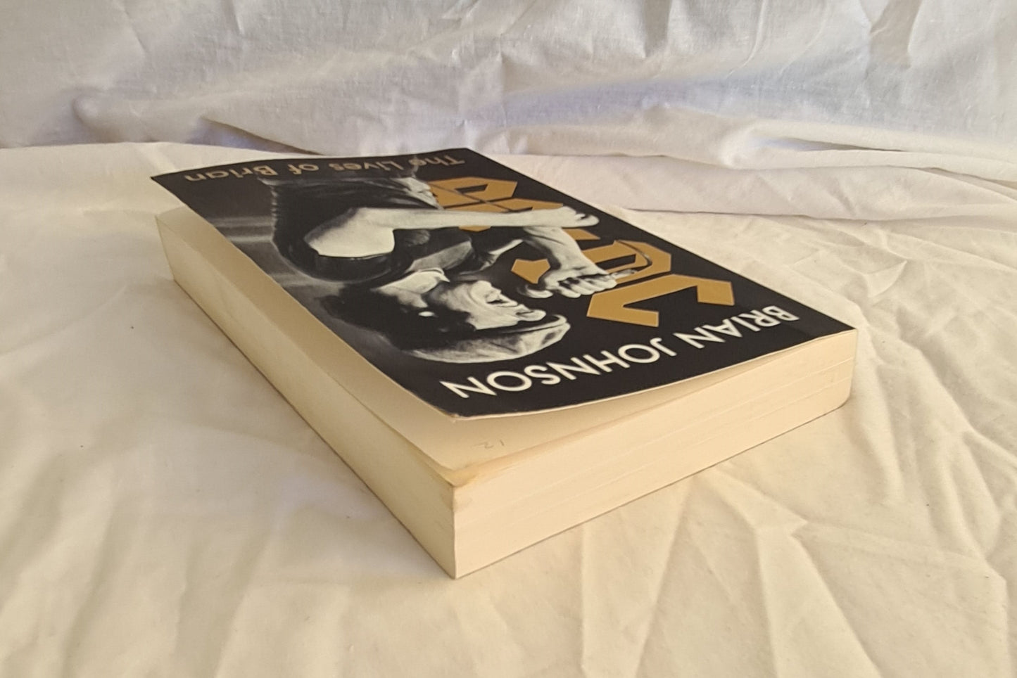 The Lives of Brian by Brian Johnson