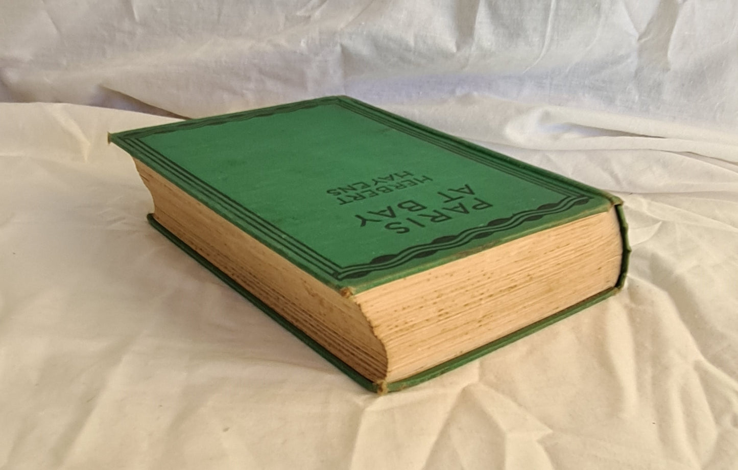 Paris at Bay by Herbert Hayens