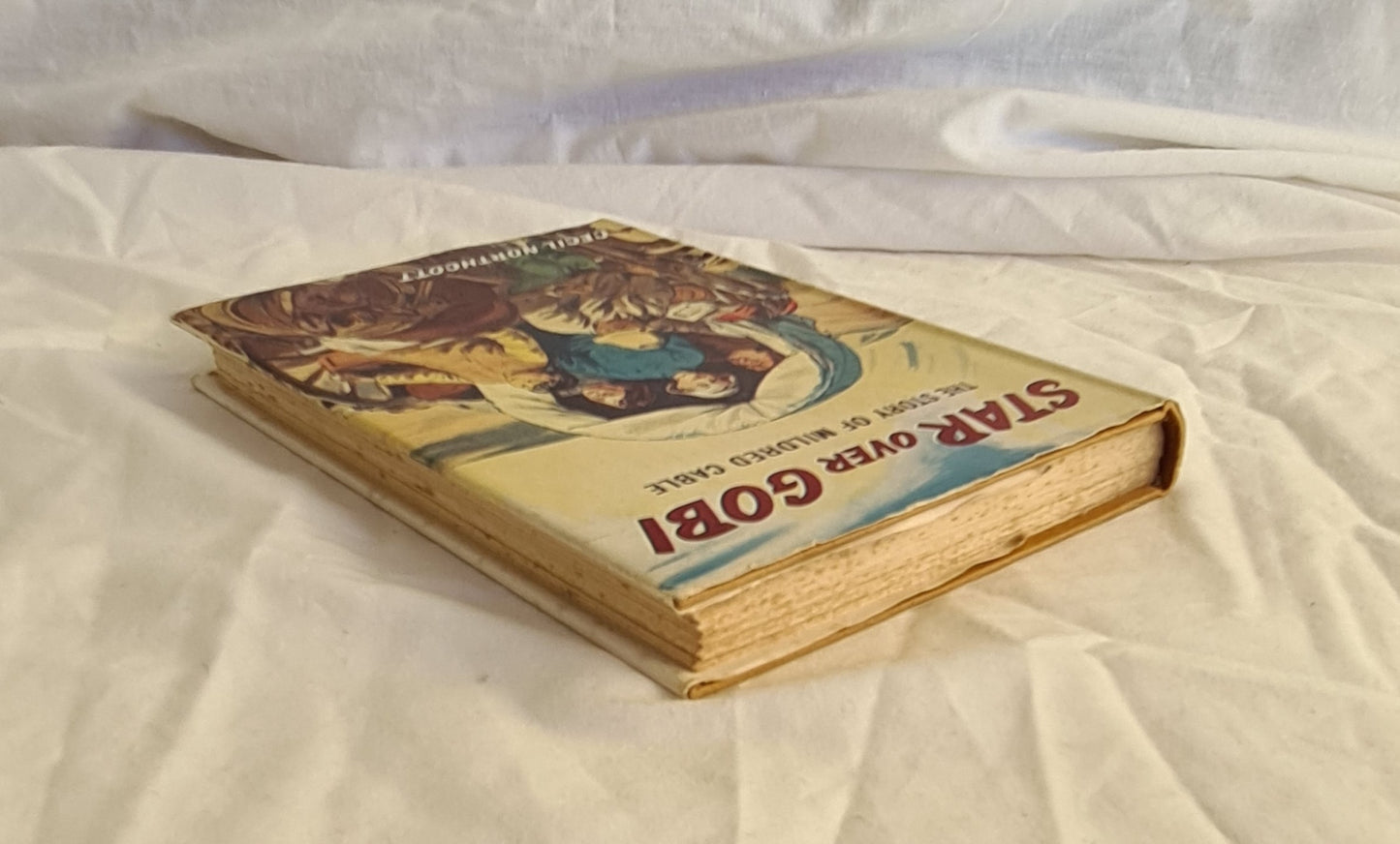 Star over Gobi by Cecil Northcott