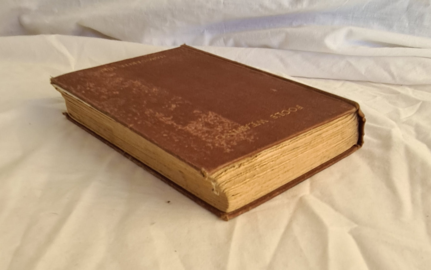 Fool’s Weaving by Marguerite Hills