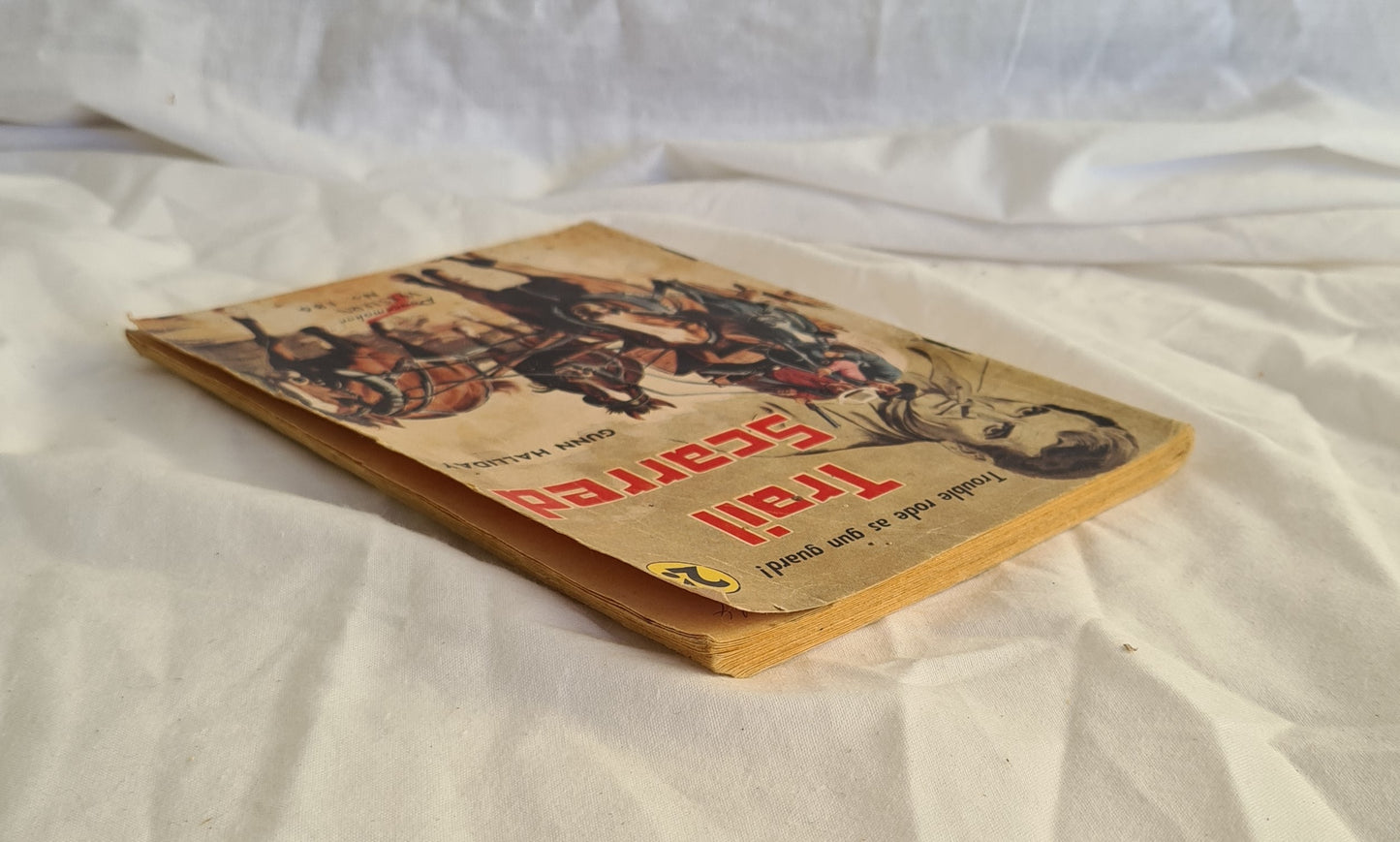 Trail Scarred by Gunn Halliday