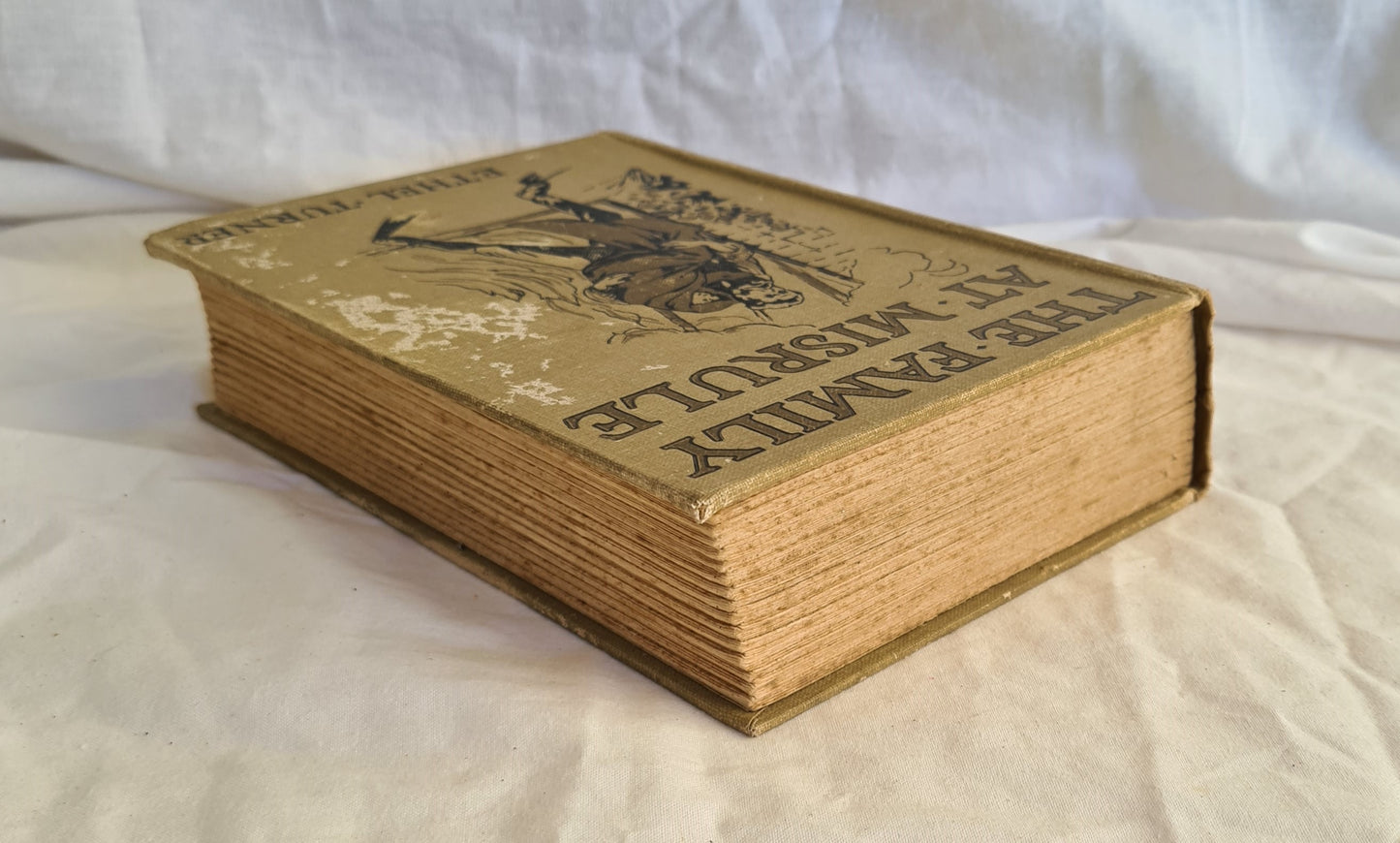 The Family at Misrule by Ethel Turner