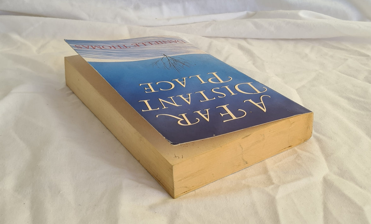 A Far Distant Place by Danielle Thomas