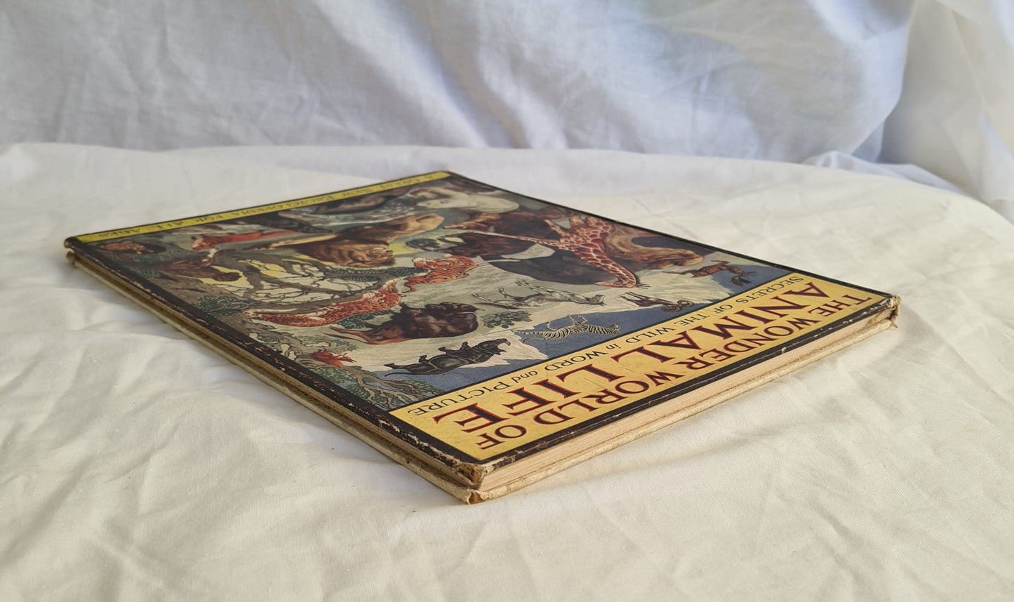 The Wonderful World of Animal Life