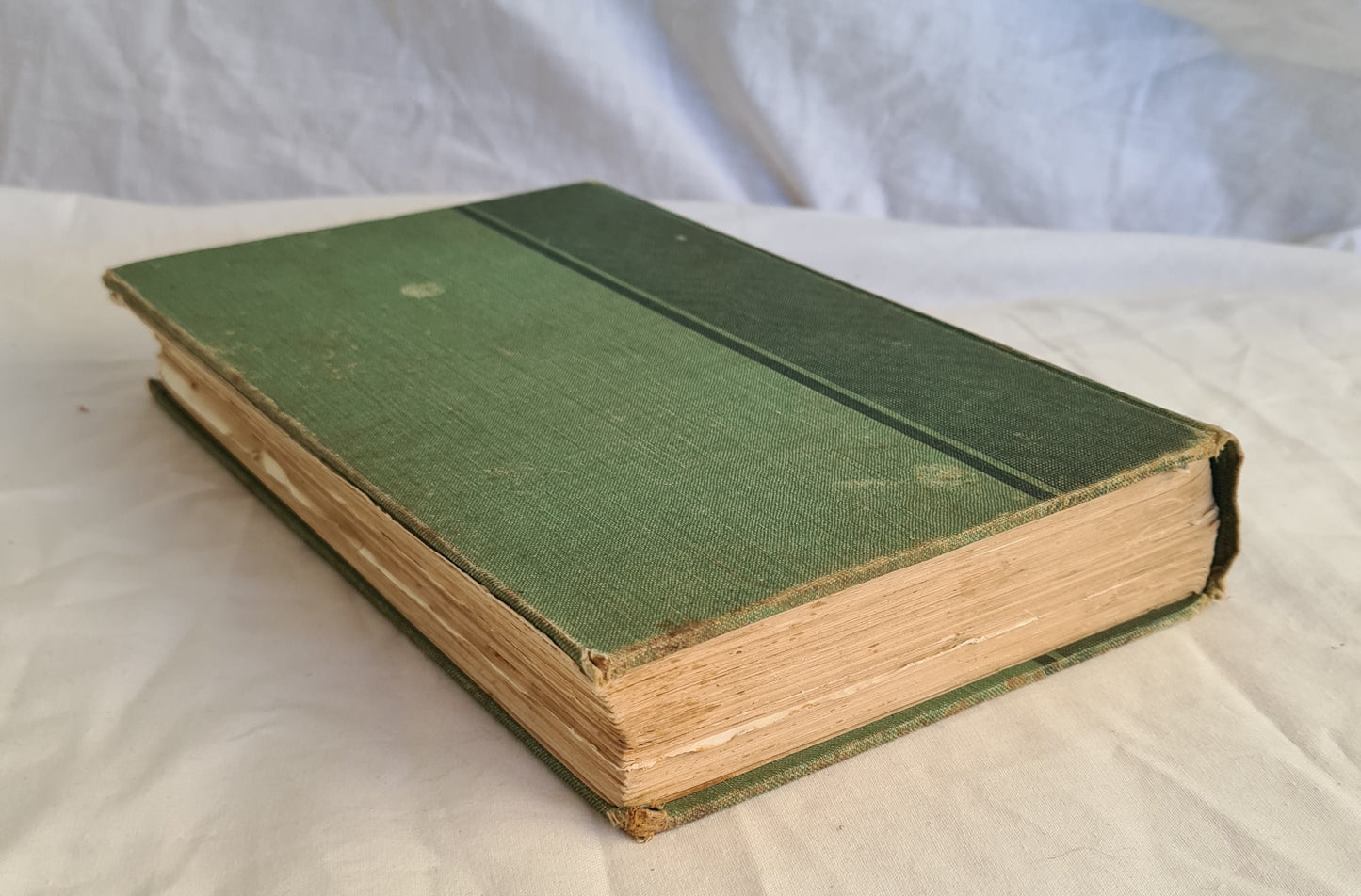 Water into Gold by Ernestine Hill